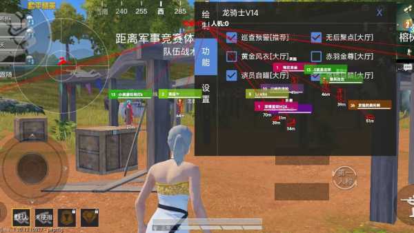 和平精英【雪儿内核】辅助